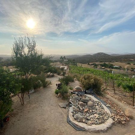 Chalet Nativo - Fabulous Terrace & Vineyard Valle de Guadalupe Bagian luar foto