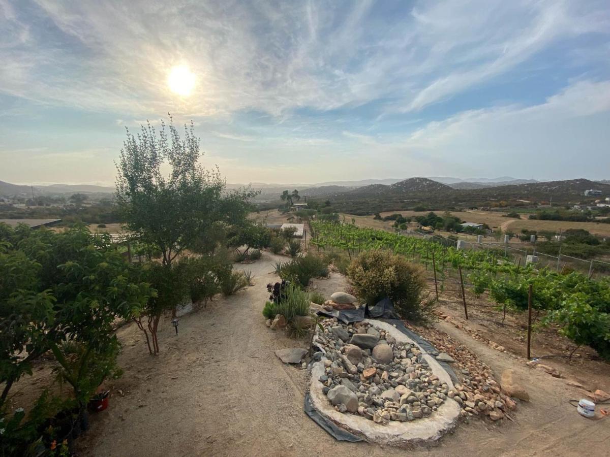Chalet Nativo - Fabulous Terrace & Vineyard Valle de Guadalupe Bagian luar foto